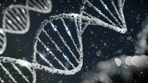dna-1