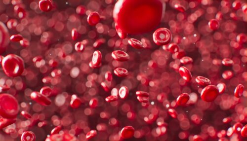 blood-cells